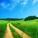 Blog post 1