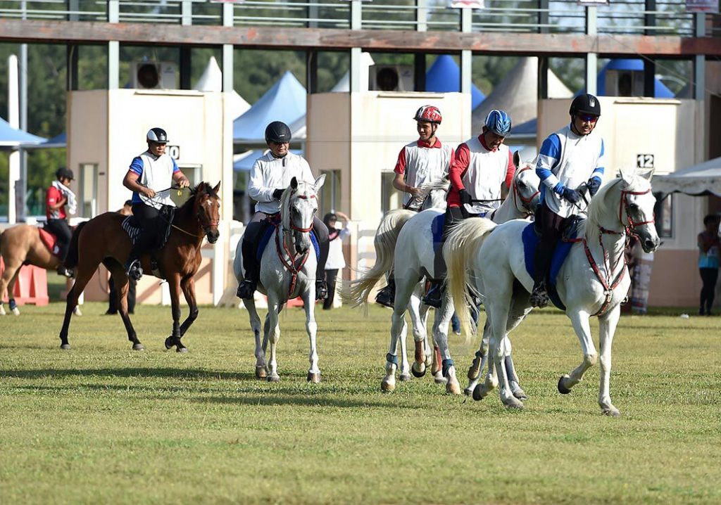 Horse riding 2 1024x718